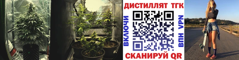 ТГК вейп  наркотики  OMG tor  Соль-Илецк 
