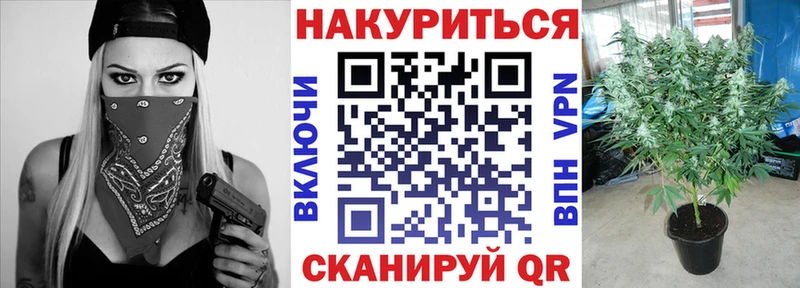 Бошки Шишки SATIVA & INDICA  Соль-Илецк 